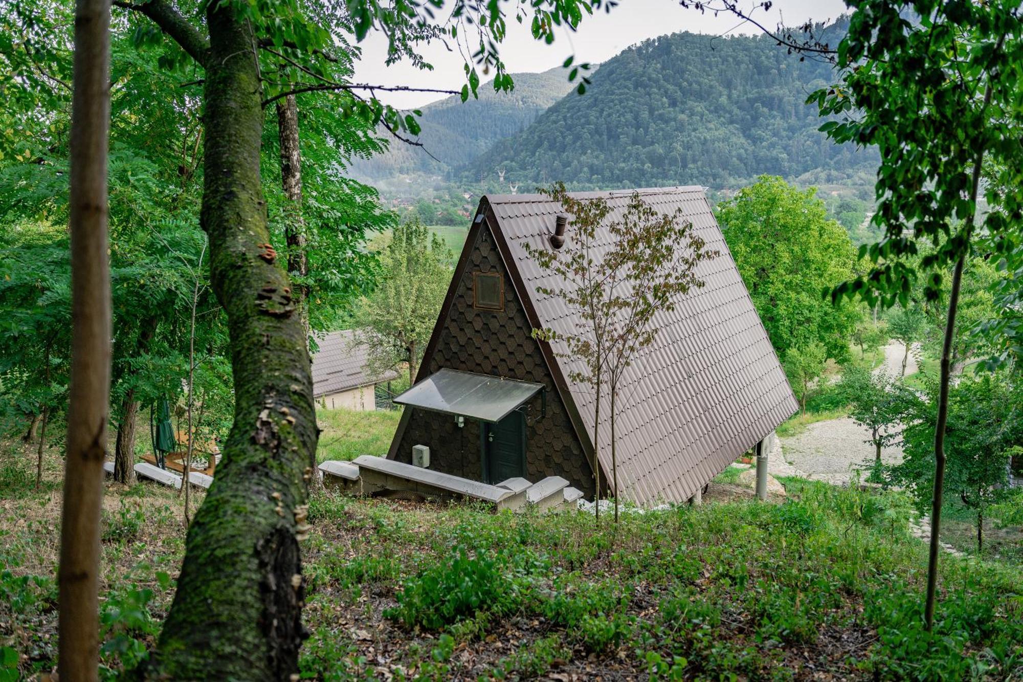 Open View Place The A Frame Scaricica Exterior photo